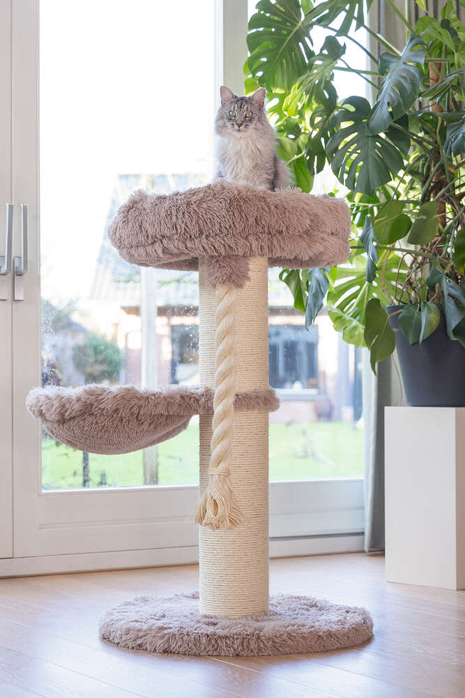 beeztees Kratzbaum Ramiro